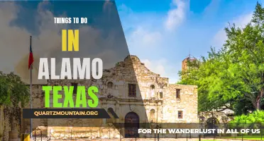 13 Fun activities to do in Alamo Texas