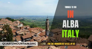 Exploring the Hidden Gems: Top Things to Do in Alba, Italy