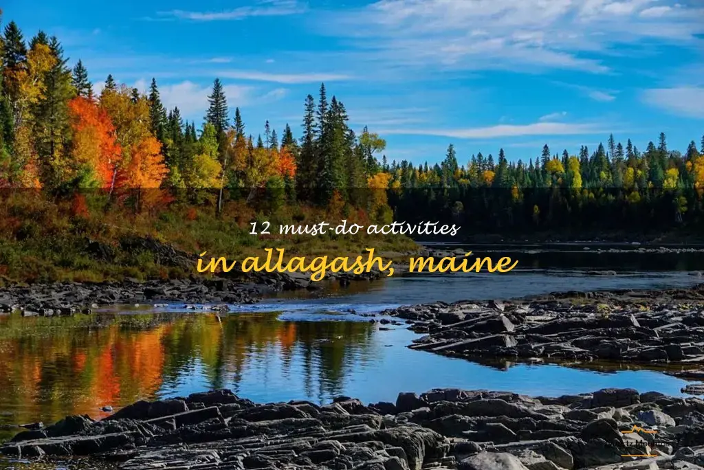things to do in allagash maine