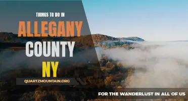 10 Fun Activities to Experience in Allegany County NY
