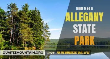 13 Must-Do Activities in Allegany State Park