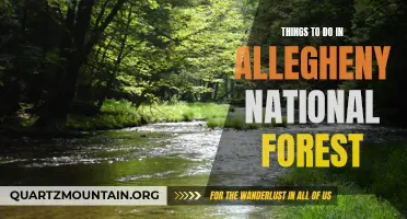 13 Fun Things to Do in Allegheny National Forest