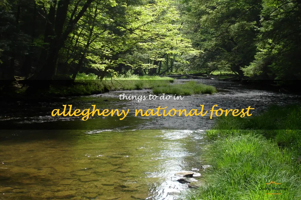 things to do in allegheny national forest