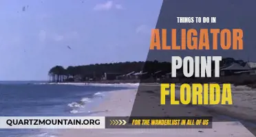 12 Fun-Filled Activities to Enjoy in Alligator Point, Florida