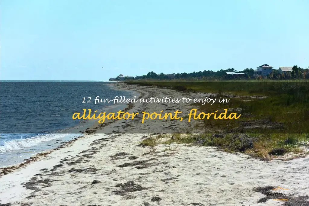 things to do in alligator point florida