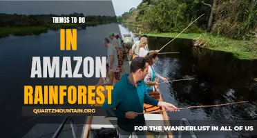13 Must-Do Activities in the Amazon Rainforest