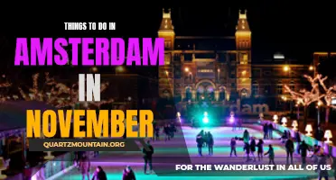 November Adventures: Exploring Amsterdam's Delights