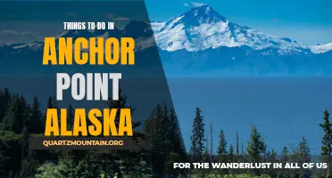 13 Must-See Activities in Anchor Point, Alaska