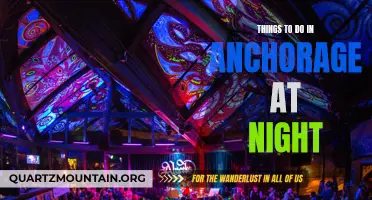 10 Must-Try Nighttime Activities in Anchorage
