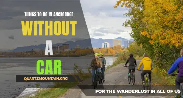 13 Exciting Activities to Experience in Anchorage Without a Car