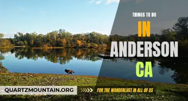 12 Fun Activities to Experience in Anderson, CA