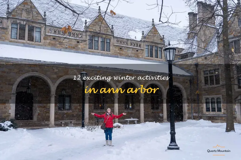 things to do in ann arbor in winter