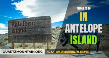 10 Fun Activities to Try on Antelope Island
