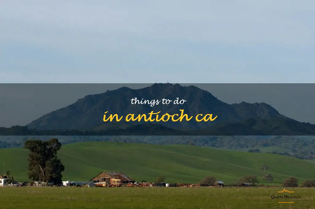 things to do in antioch ca