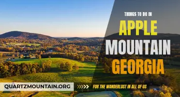 12 Fun Activities to Experience in Apple Mountain, Georgia