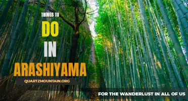 Arashiyama's Top Attractions: Exploring Nature and Heritage