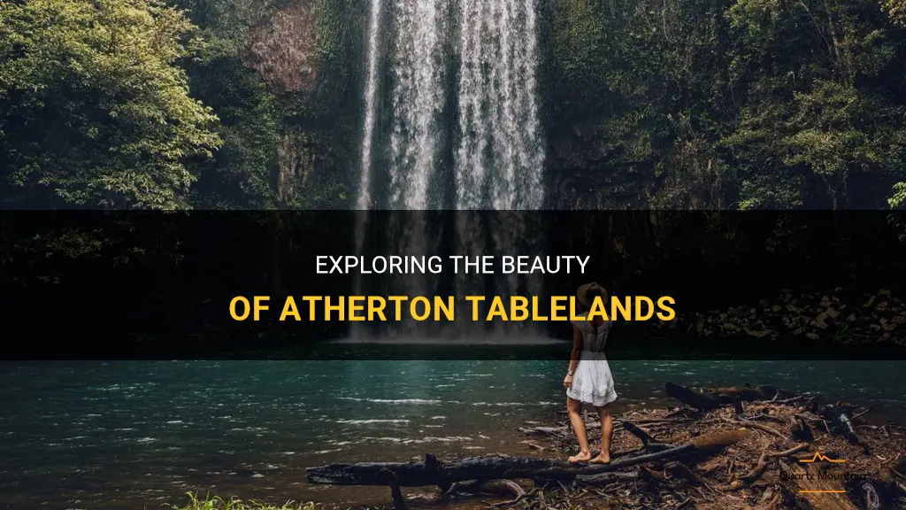things to do in atherton tablelands