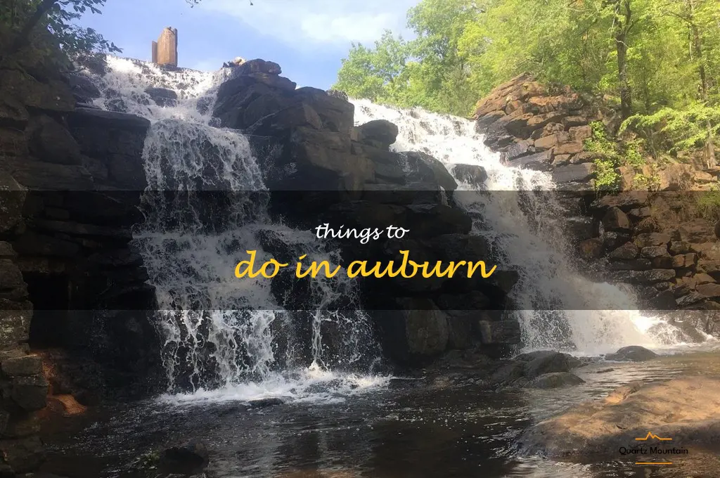 things to do in auburn
