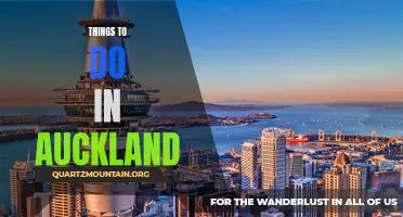 14 Fun Activities to Experience in Auckland