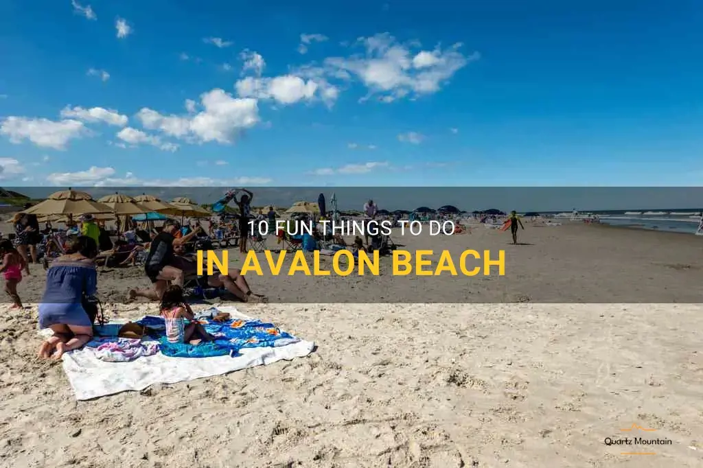 things to do in avalon beach