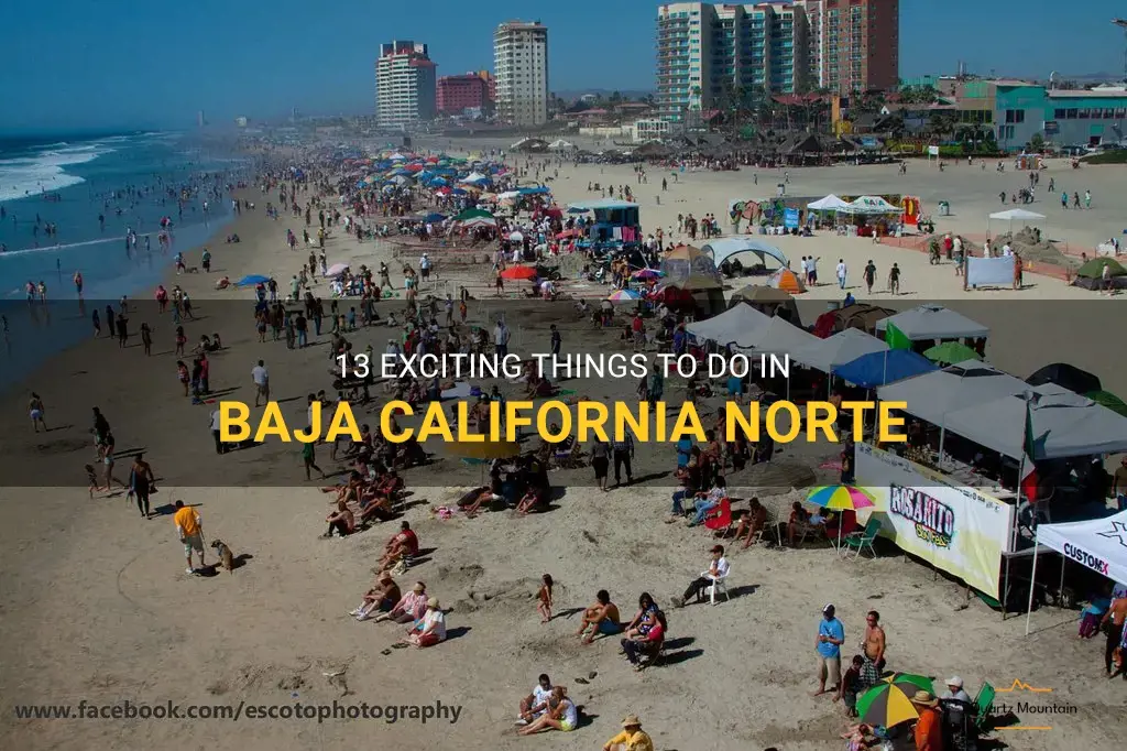 things to do in baja california norte