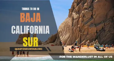 12 Amazing Things to Do in Baja California Sur