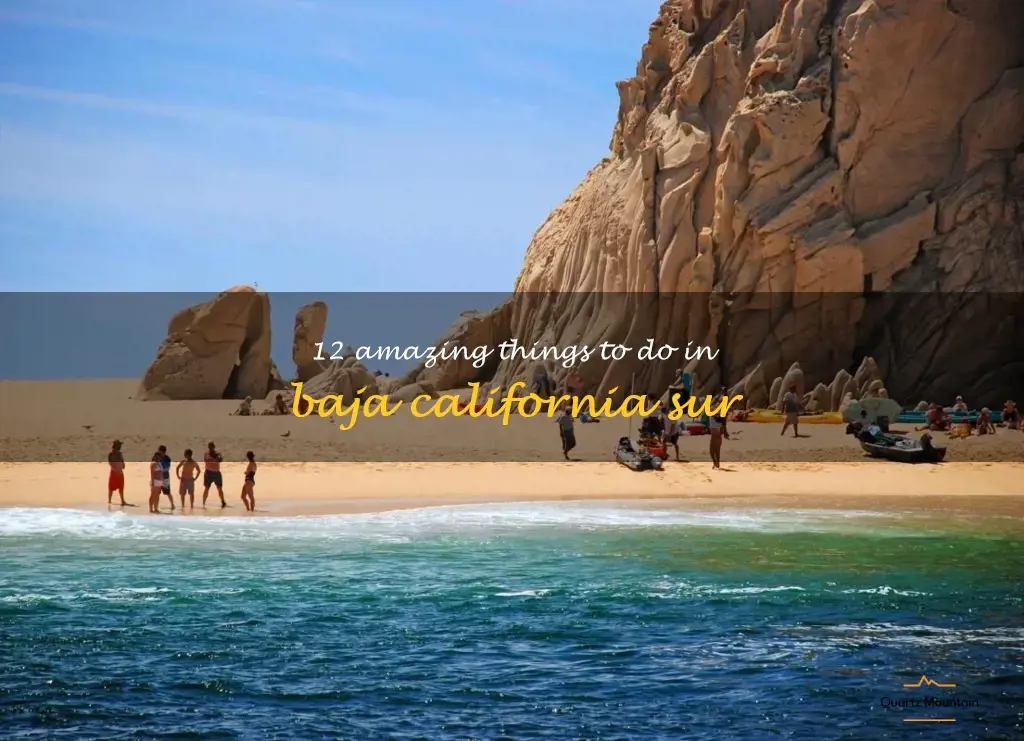 things to do in baja california sur