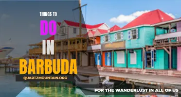 12 Must-Try Things to Do in Barbuda