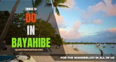 13 Exciting Activities to Experience in Bayahibe