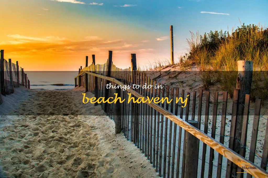 things to do in beach haven nj