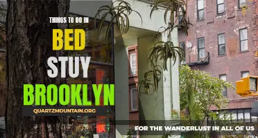 12 Ways to Explore Bed Stuy Brooklyn: A Local's Guide