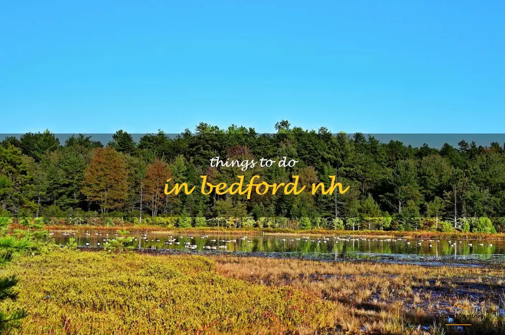 things to do in bedford nh