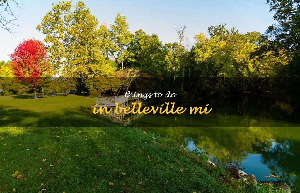 things to do in belleville mi