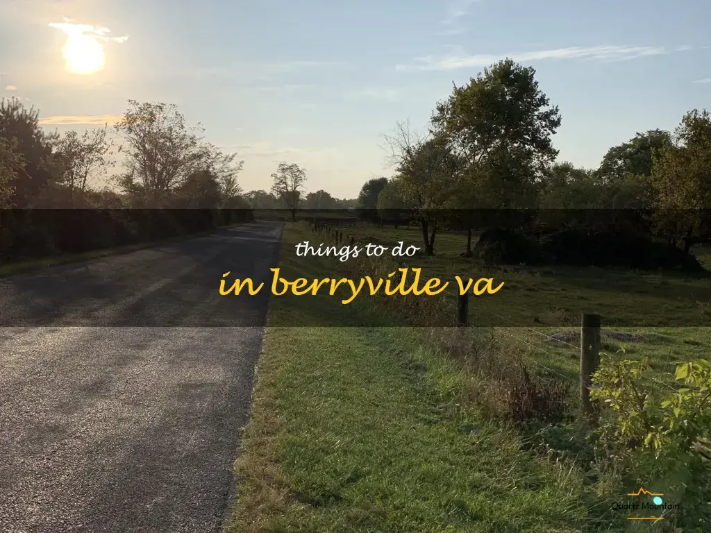 things to do in berryville va