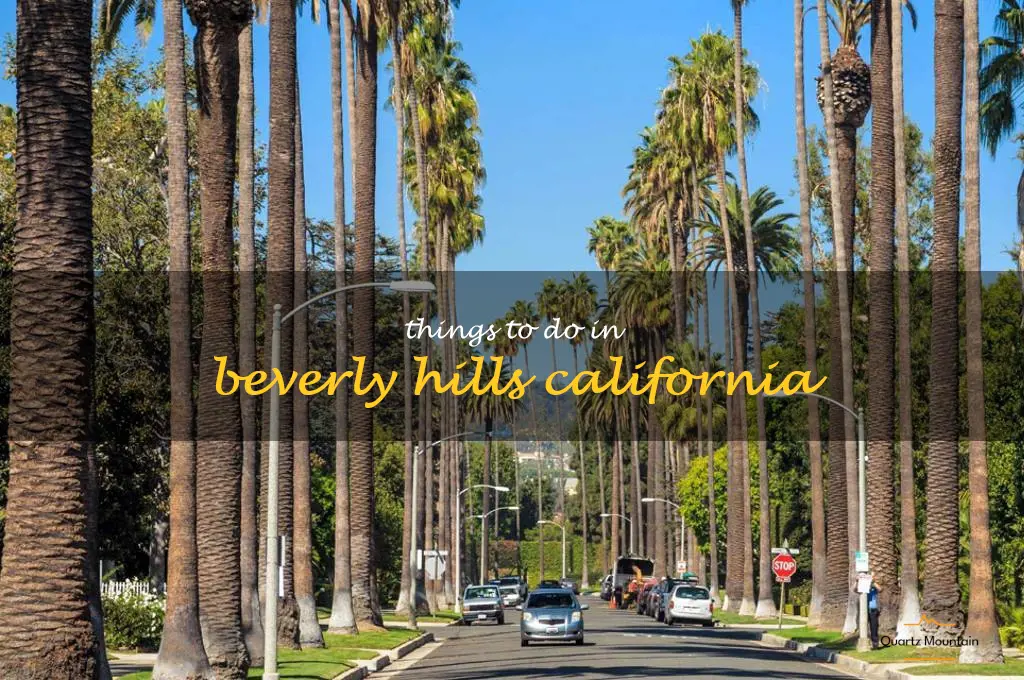 things to do in beverly hills california