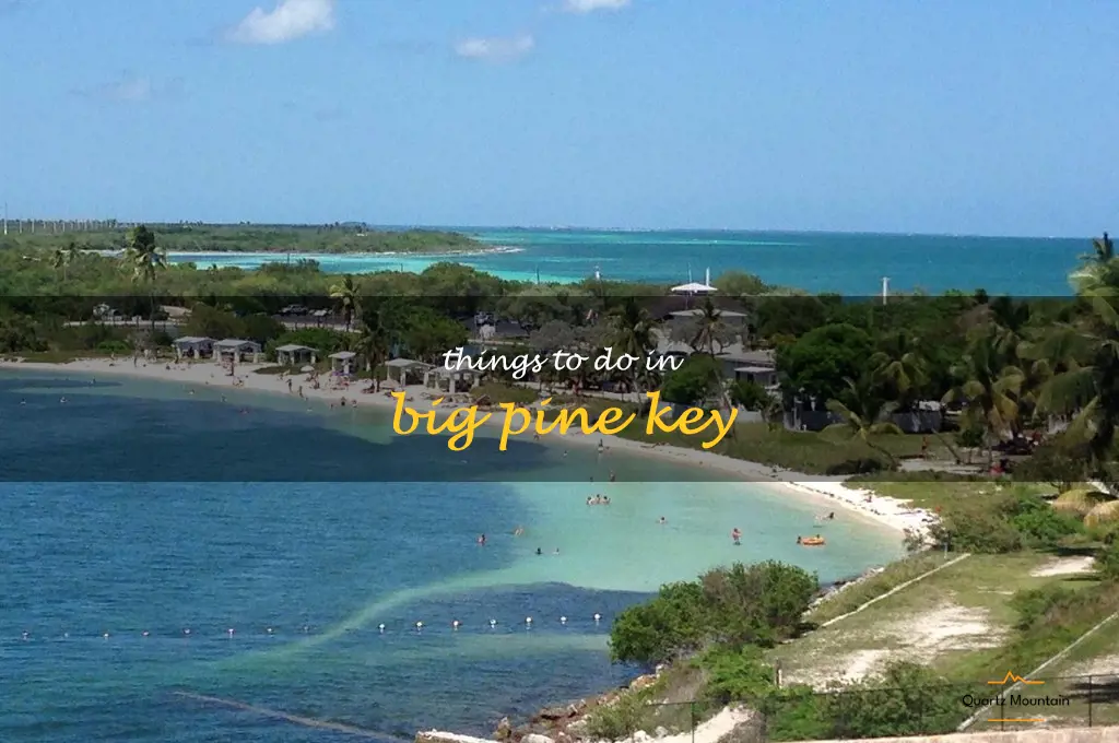 things to do in big pine key
