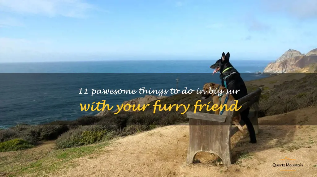 things to do in big sur with dogs