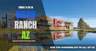 12 Exciting Activities to Experience in Bison Ranch, AZ