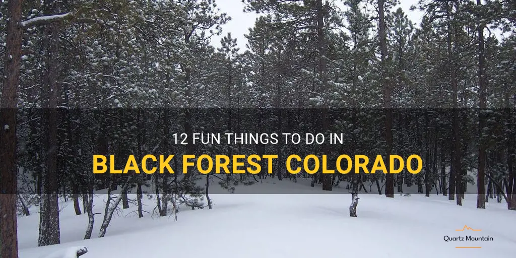 things to do in black forest colorado