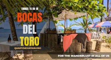 11 Must-Do Activities in Bocas del Toro
