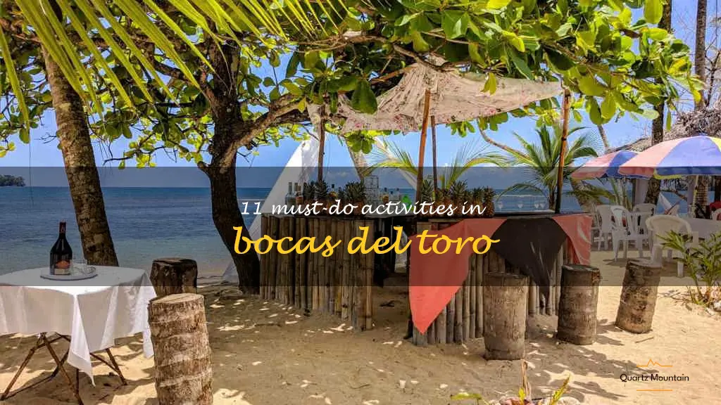 things to do in bocas del toro