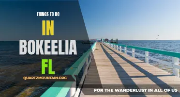 12 Exciting Activities to Experience in Bokeelia, FL