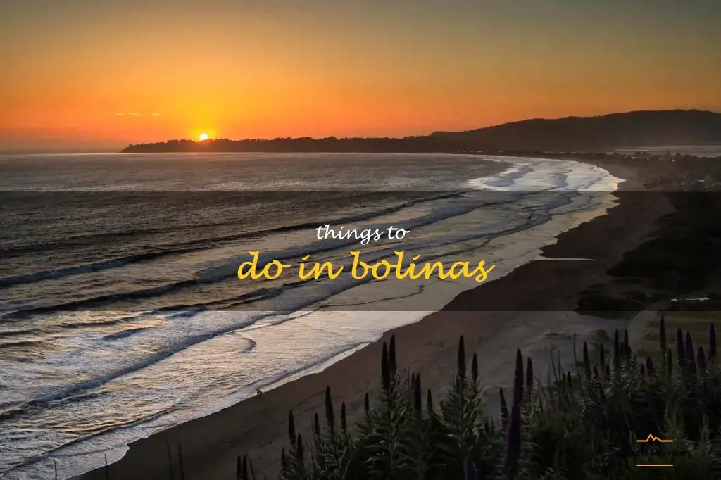 things to do in bolinas