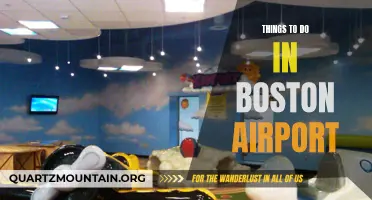 Exploring Boston Logan Airport: Top Activities and Attractions