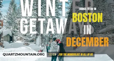 December Delights: Exploring Boston's Festive Activities