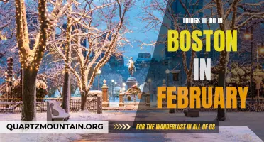 12 Fun Activities to Experience in Boston During February