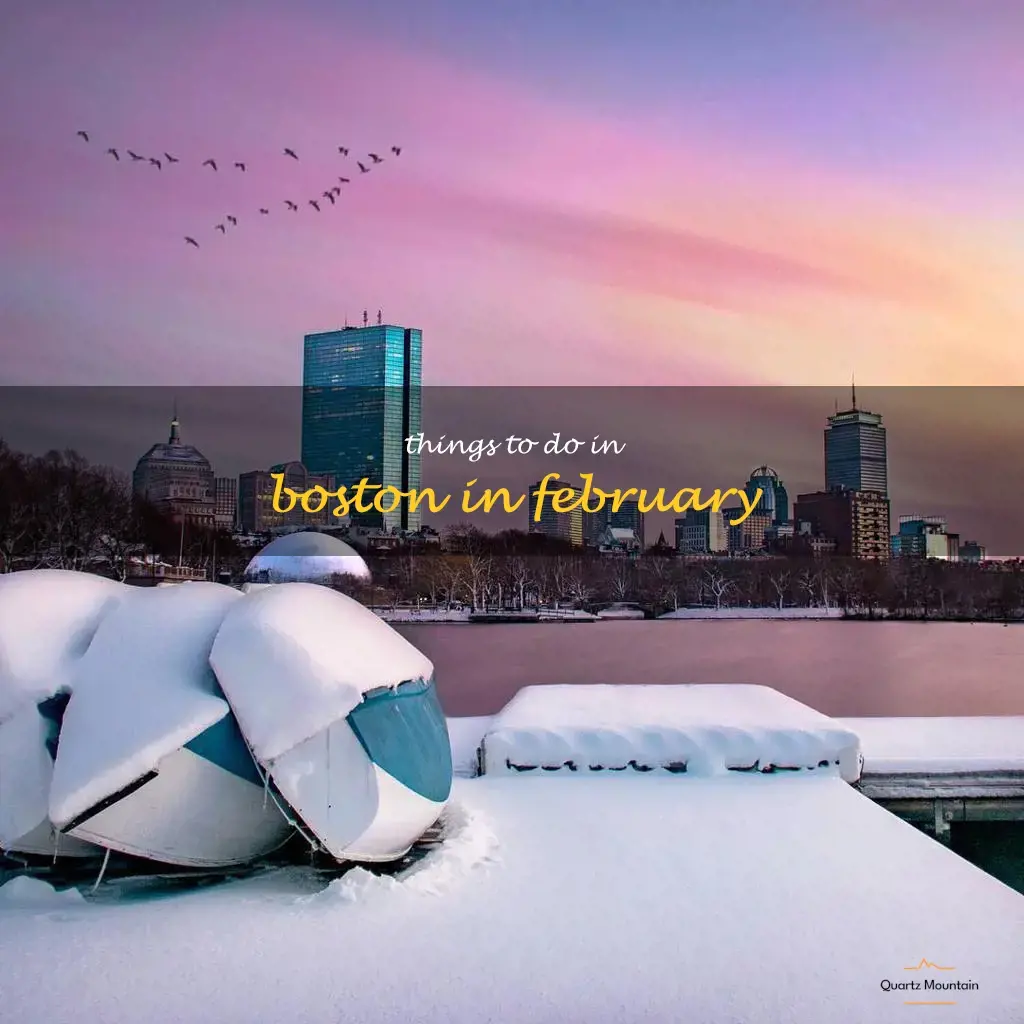 things to do in boston in february