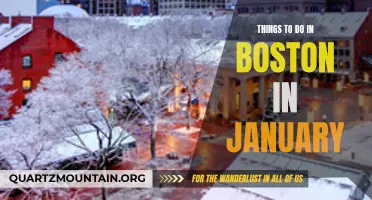 13 Fun Activities to Experience in Boston in January