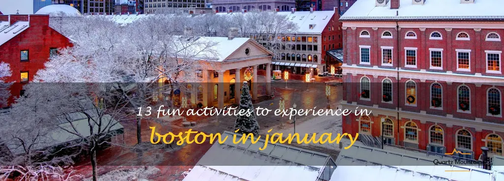 things to do in boston in january