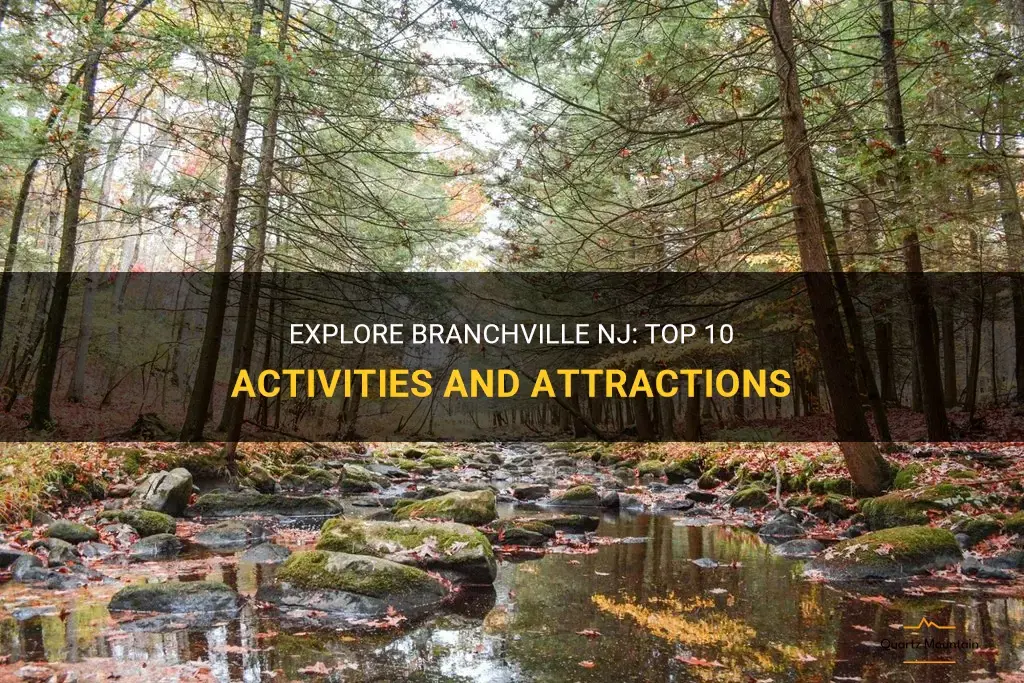 things to do in branchville nj